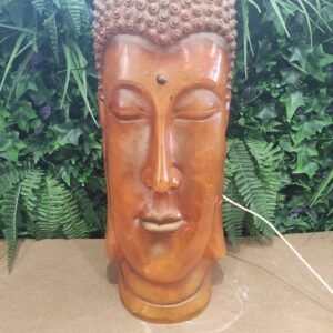 Grande tête de Bouddha lumineuse